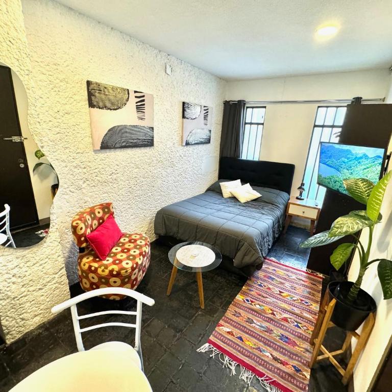 C22-1 Bonito y céntrico departamento - Apartamento de 1 dormitorio - 12