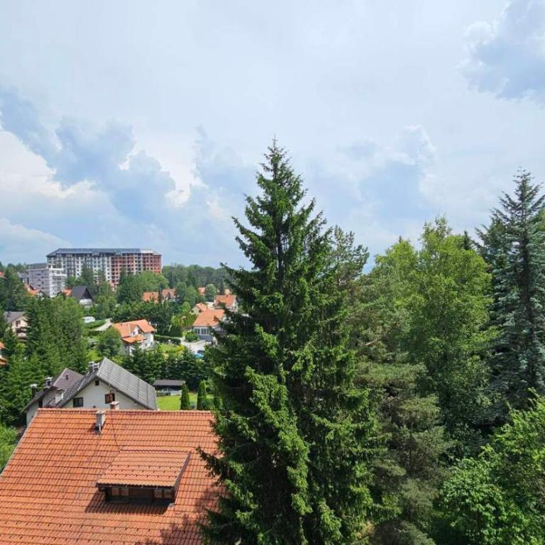 Forest Dreams LUX - Apartman sa 1 Spavaćom Sobom - 5