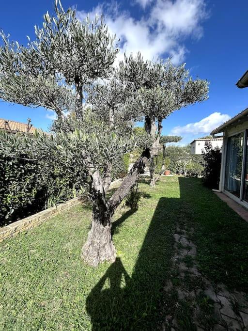 La villa bleue Arles jardin - Haus mit 3 Schlafzimmern - 11