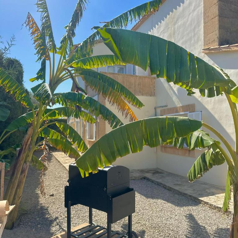 Bonaire Beach House - Casa Unifamiliar de 3 dormitorios - 21