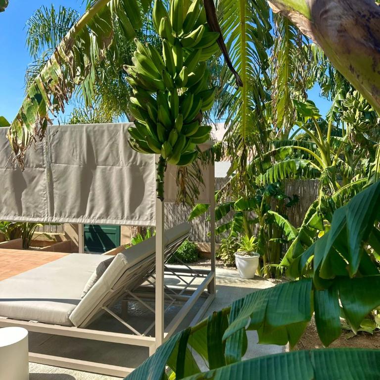 Bonaire Beach House - Casa Unifamiliar de 3 dormitorios - 27