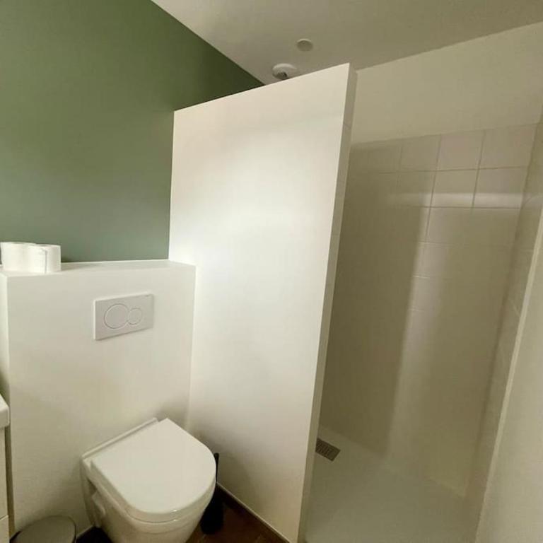 Séjour Art Nouveau au coeur de Wazemmes - Appartement Supérieur - 4