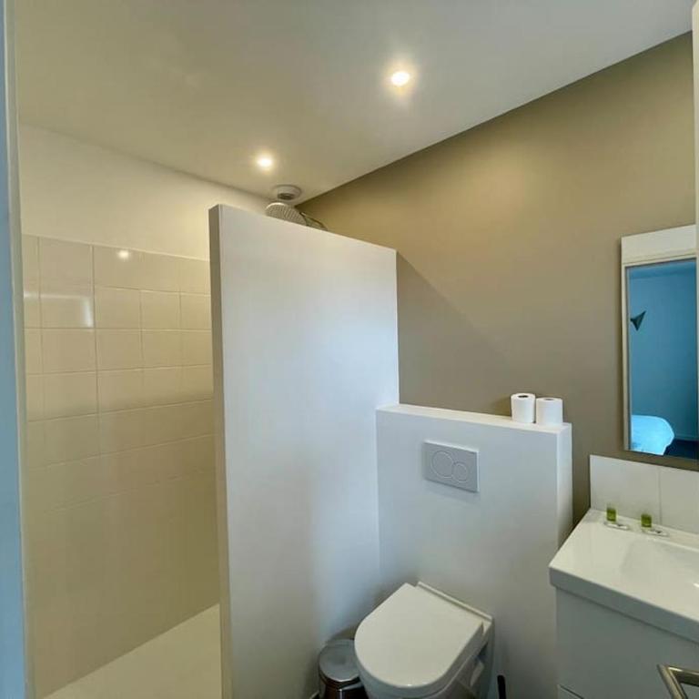 Séjour Art Nouveau au coeur de Wazemmes - Appartement Supérieur - 14