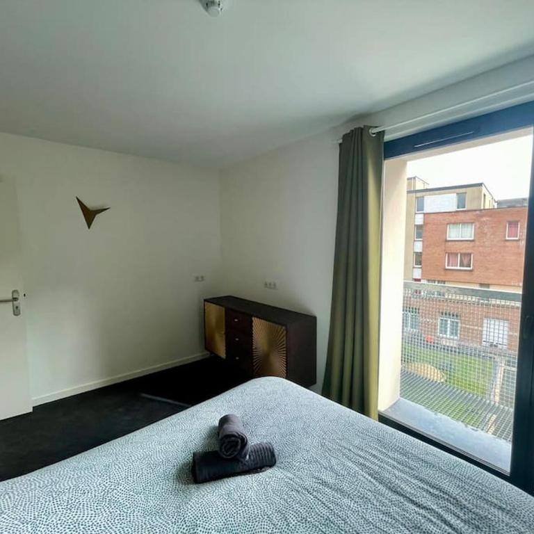 Séjour Art Nouveau au coeur de Wazemmes - Appartement Supérieur - 20