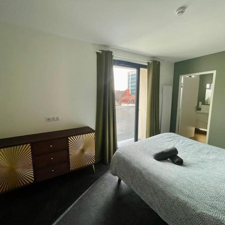 Séjour Art Nouveau au coeur de Wazemmes - Appartement Supérieur - 28