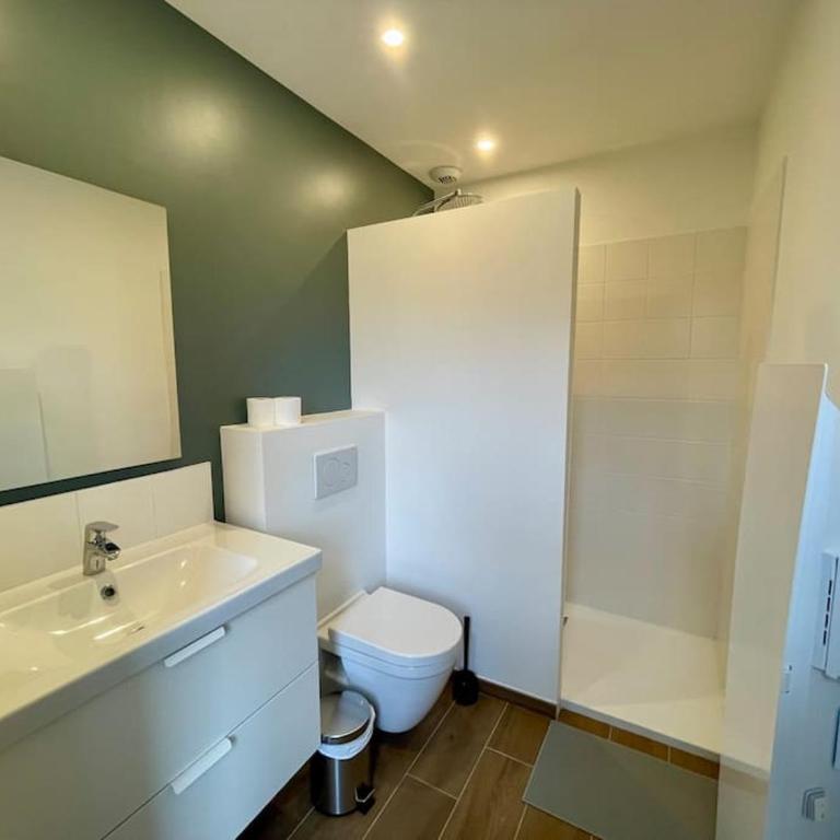 Séjour Art Nouveau au coeur de Wazemmes - Appartement Supérieur - 29