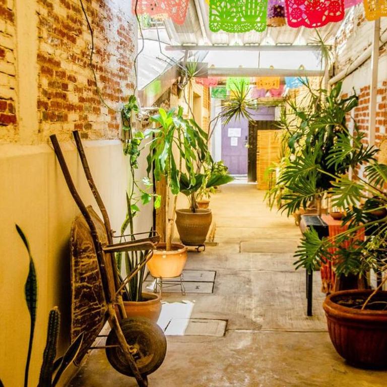 The Green Loft, Oaxaca Centro - Apartamento de 1 dormitorio - 1
