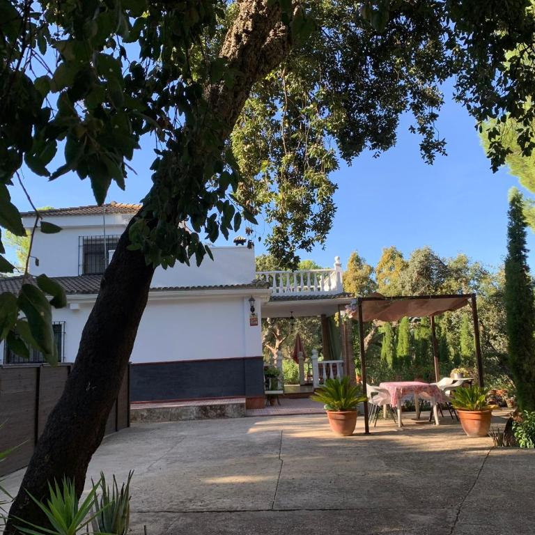 Casa San Francisco de Asís - Chalet de 3 dormitorios - 32