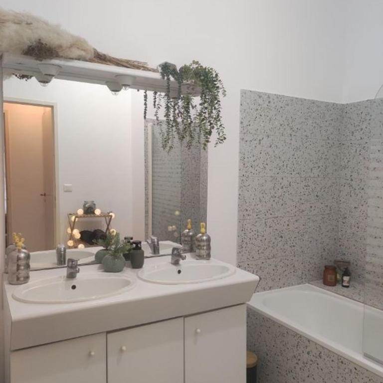 Le grand cocon de Saint Leu parking gratuit ! - Appartement 1 Chambre - 10