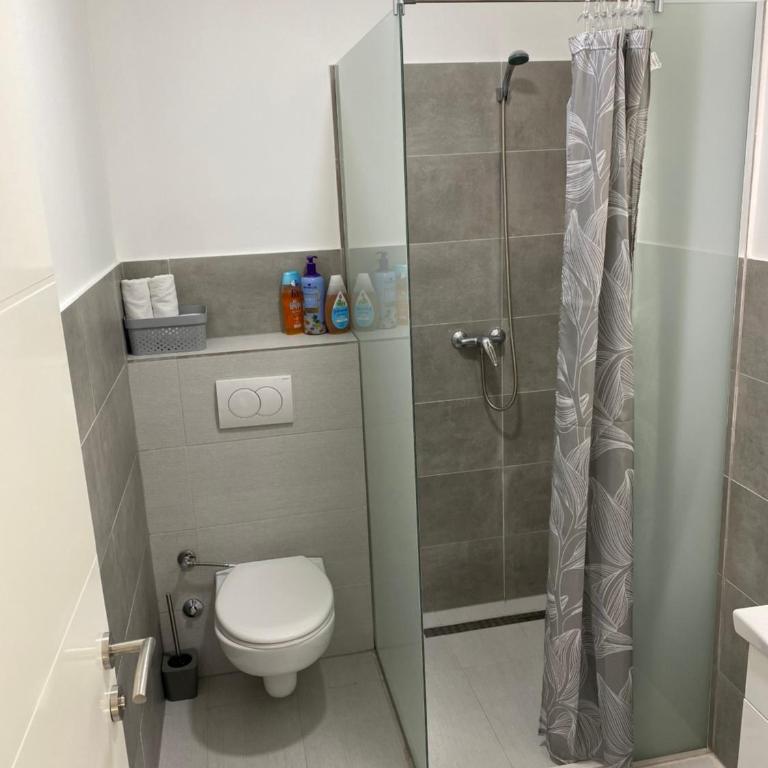 Luxury Pyramid Apartment Visoko - Apartman sa 1 Spavaćom Sobom - 15