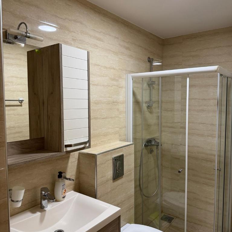 Olimp apartmani Sokobanja - Apartman sa 1 Spavaćom Sobom - 2