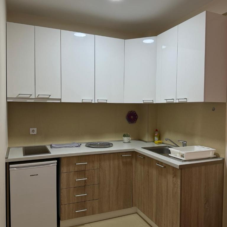 Olimp apartmani Sokobanja - One-Bedroom Apartment - 12