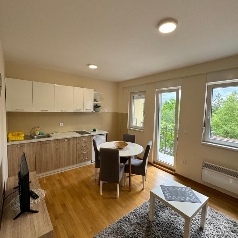 Olimp apartmani Sokobanja - One-Bedroom Apartment - 11