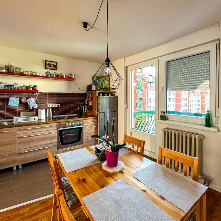 Spacious Cozy Cheyf - Apartman sa 1 Spavaćom Sobom - 8