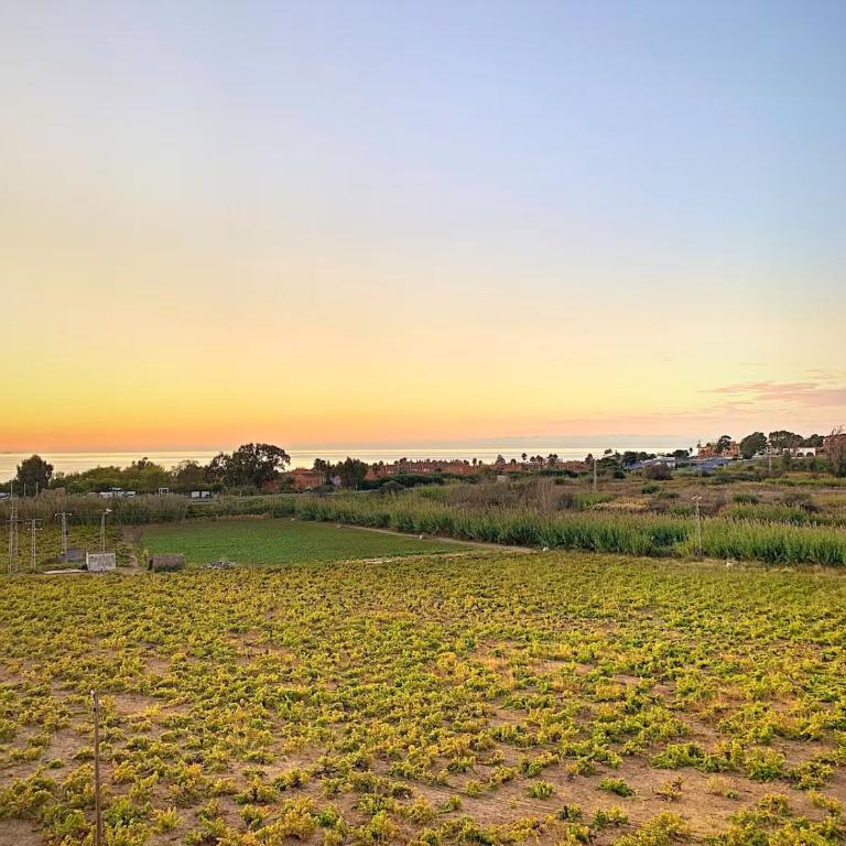Vineyard Shores - Manilva - Apartamento de 2 dormitorios - 8