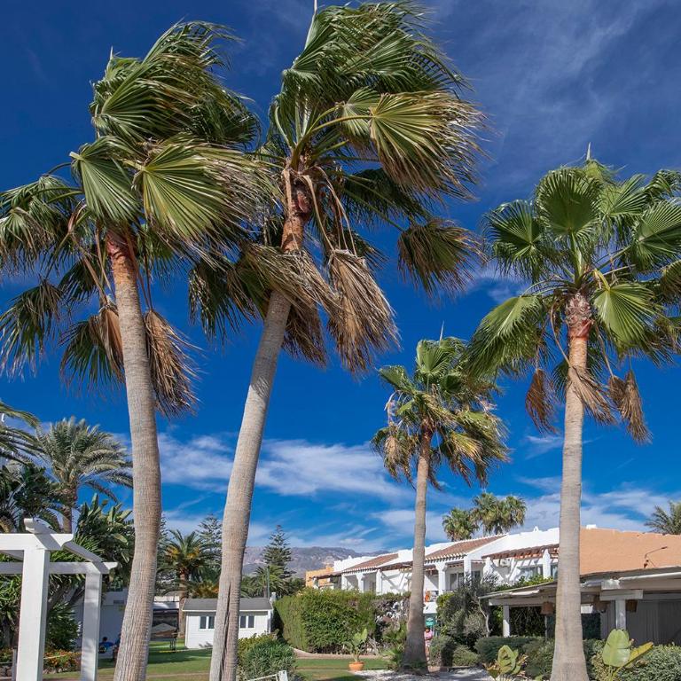 Beach paradise 4 - Estudio Familiar - 27
