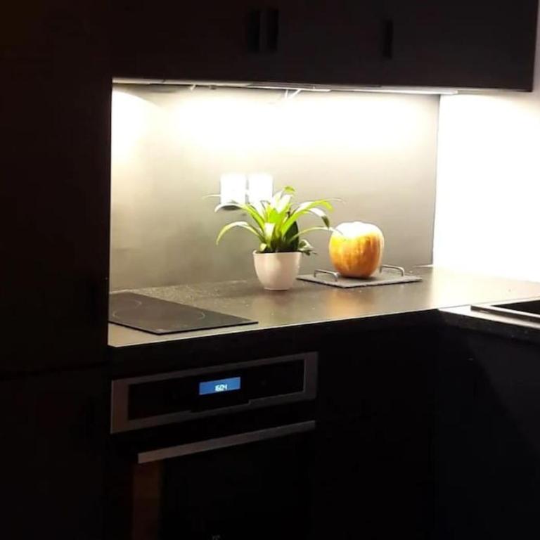 Bel Appartement Parisien, TYPIQUE DU MARAIS - Appartement 1 Chambre - 16