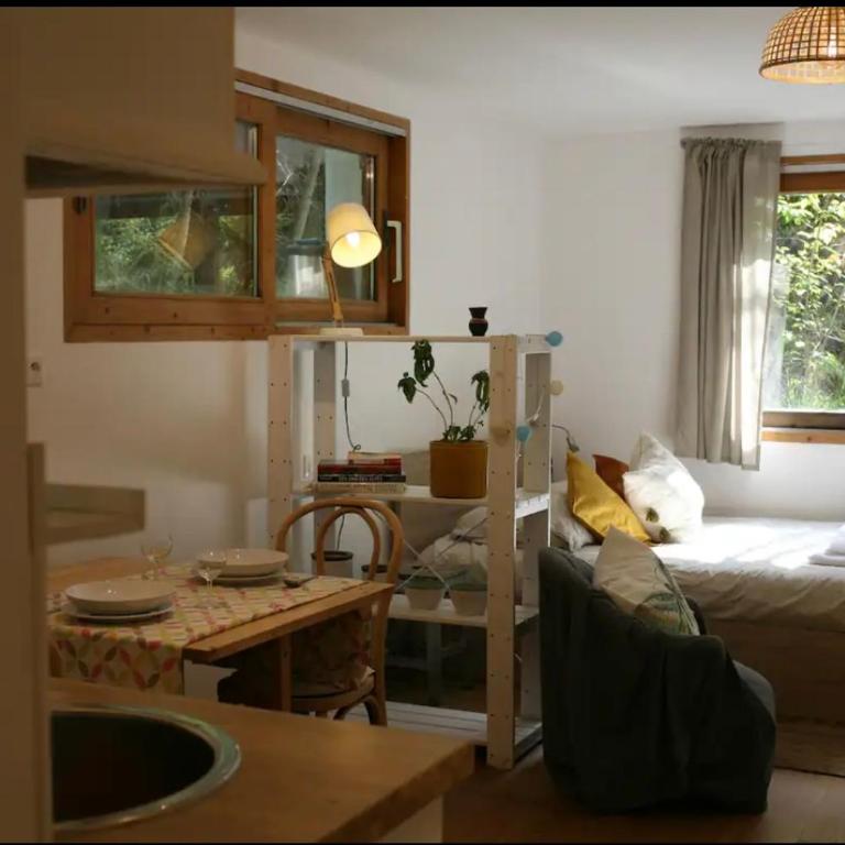 Studio Montaña - Appartement 1 Chambre - 10