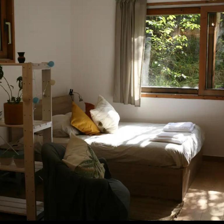 Studio Montaña - Appartement 1 Chambre - 11