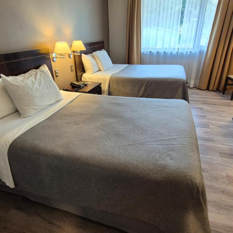 Hotel Diego de Almagro Coyhaique - Habitación con 2 camas grandes - 4