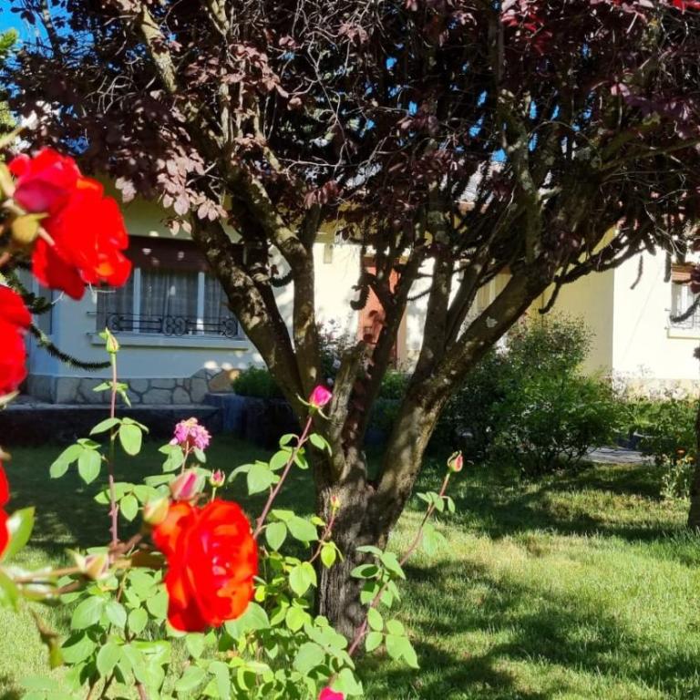 De las Rosas Bariloche - Casa de 3 dormitorios - 3