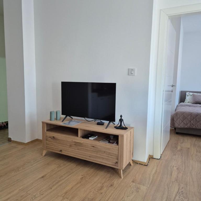 Apartman Lazić - Apartman sa 1 Spavaćom Sobom - 3