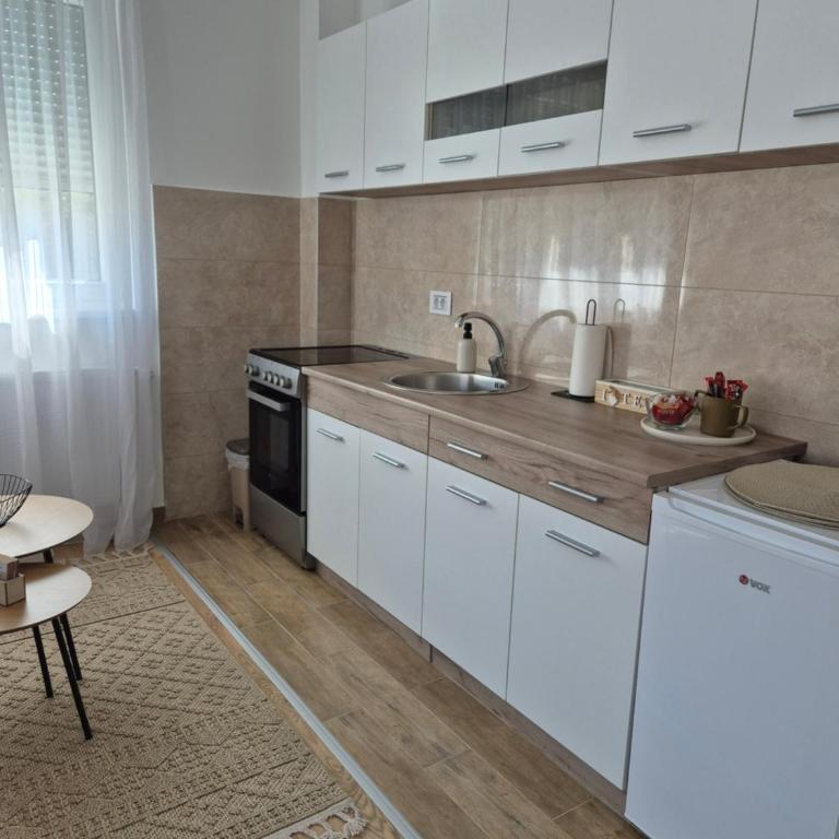Apartman Lazić - Apartman sa 1 Spavaćom Sobom - 2