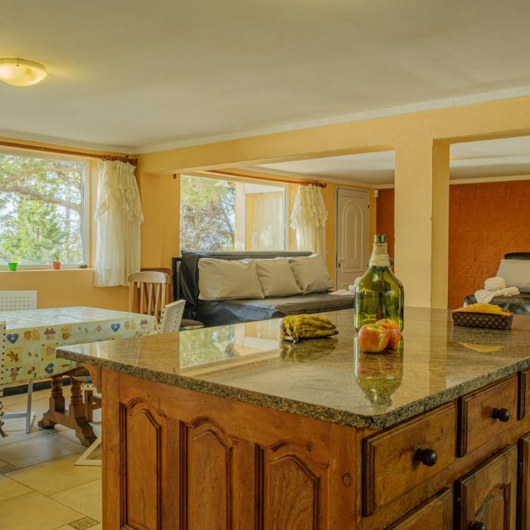 Aucapillan - Apartamento de 3 dormitorios con vistas al lago - 14