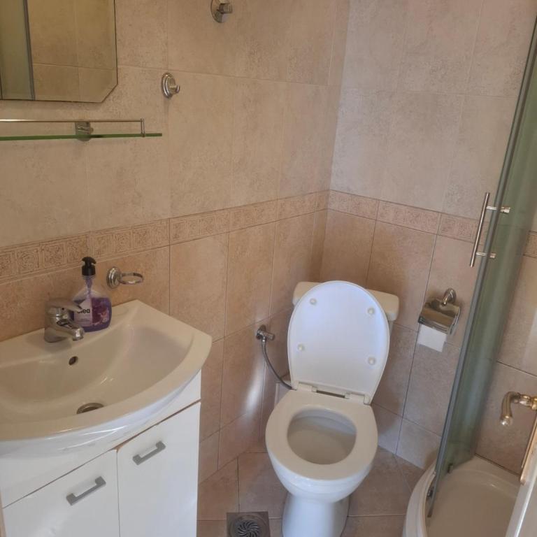 Apartments Pejanović - One-Bedroom Apartment with Balcony and Sea View - 3