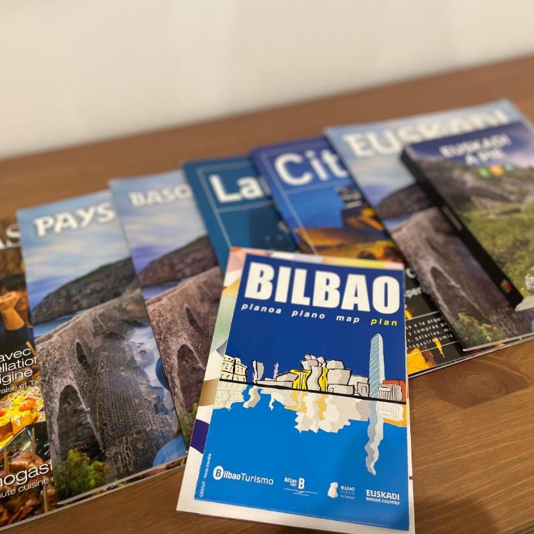Nuevo, grande con garaje, Bilbao Arena, Casco Viejo - Apartamento de 3 dormitorios - 11