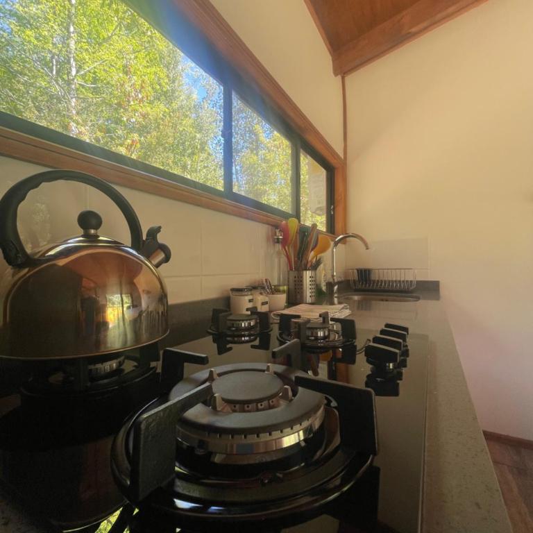 Pucura Eco Lodge - Two-Bedroom Apartment - 3