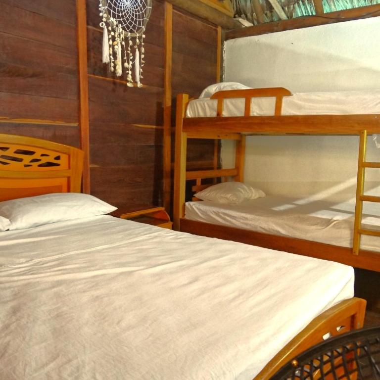 Prima Luna Palomino - Habitación Familiar con baño privado - 7