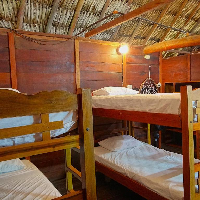 Prima Luna Palomino - Cama en habitación compartida de 8 camas - 5