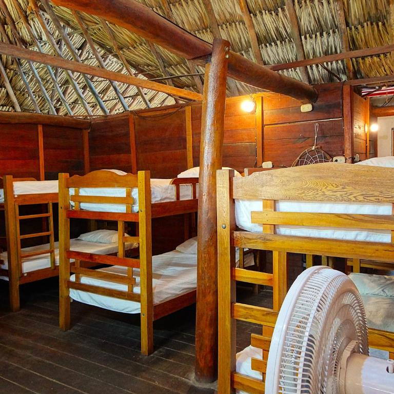 Prima Luna Palomino - Cama en habitación compartida de 8 camas - 2