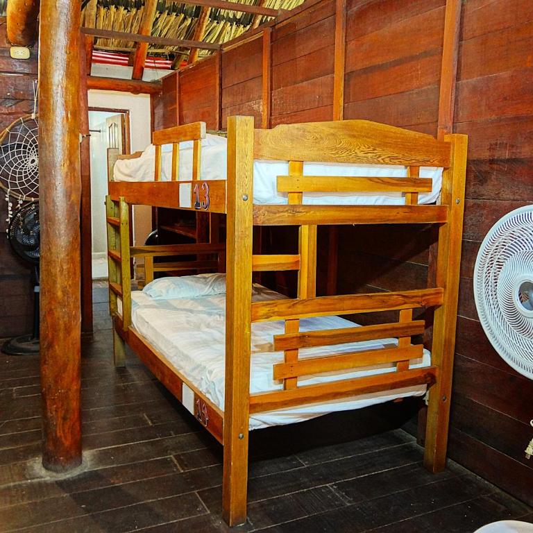 Prima Luna Palomino - Cama en habitación compartida de 8 camas - 1