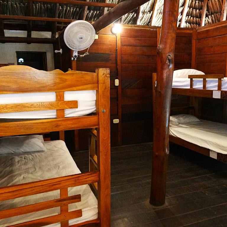 Prima Luna Palomino - Cama en habitación compartida de 6 camas - 5