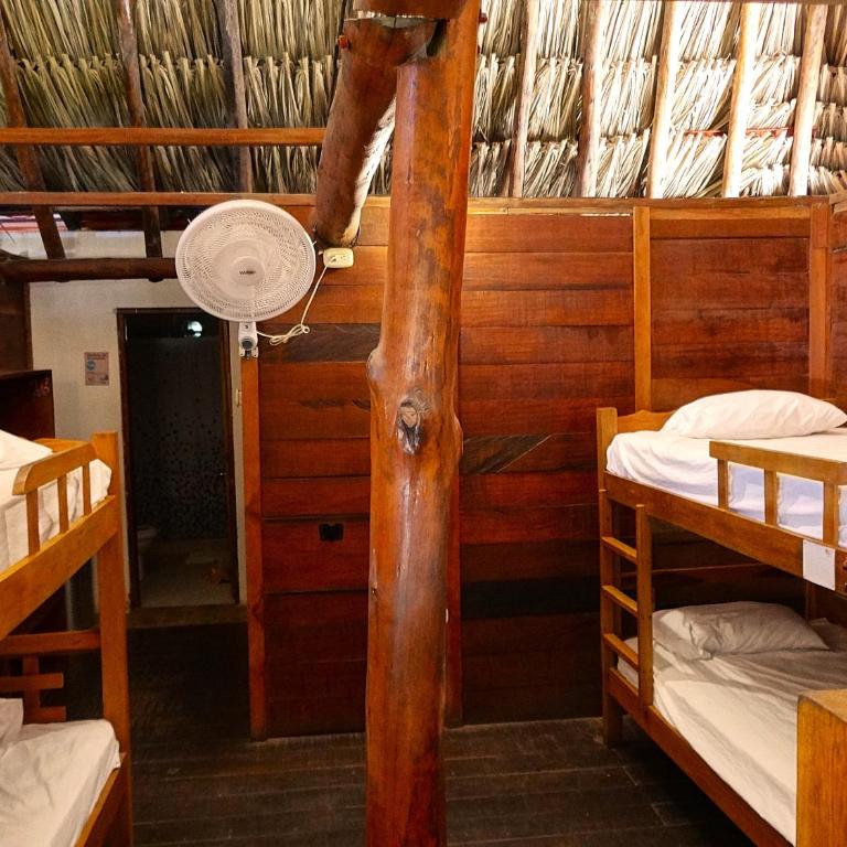Prima Luna Palomino - Cama en habitación compartida de 6 camas - 1