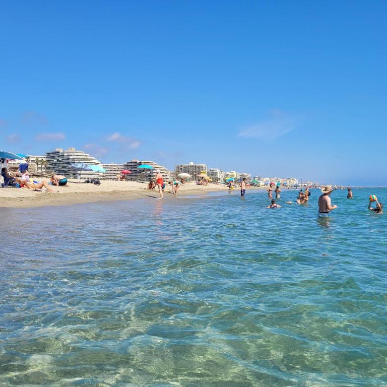 Canet-en-Roussillon T2 Moderne - Parking - Clim - 2ème étage avec ascenseur - 4 pers - FR-1-794-136 - Appartement - 14