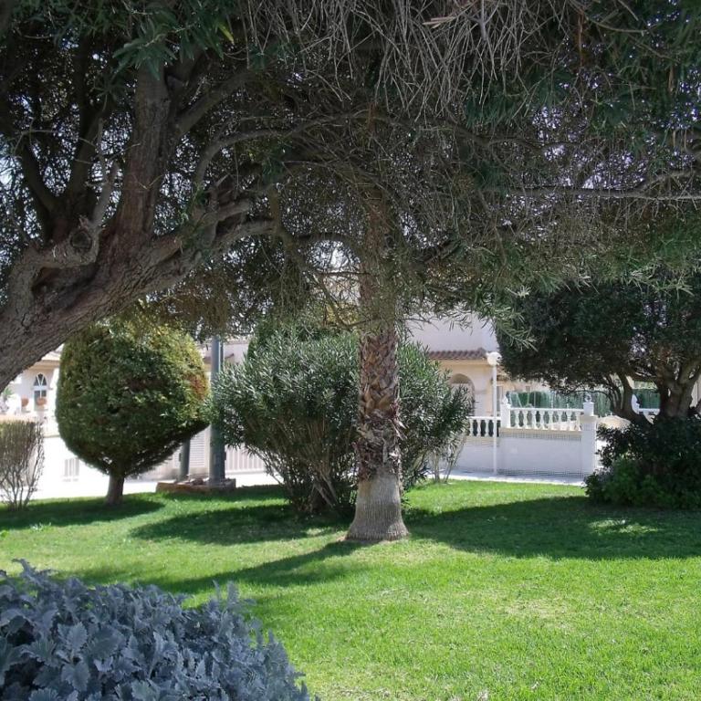 Maravillosa terraza con vistas al mar, La Mata - Two-Bedroom Apartment - 21