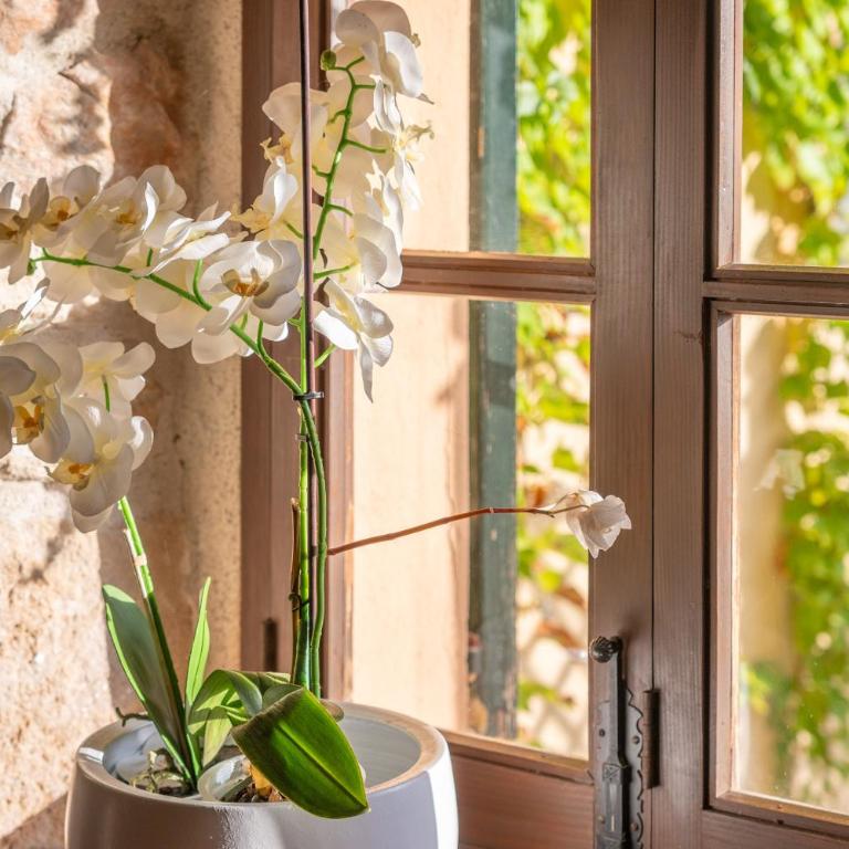 L'Eresta - Five-Bedroom Villa - 16
