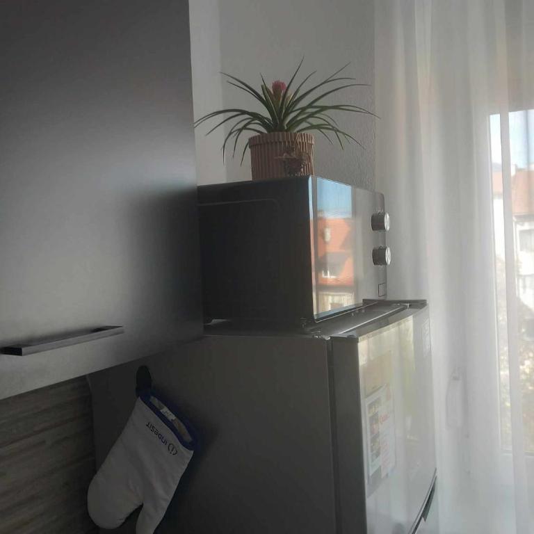 Apartman DEA - One-Bedroom Apartment - 5