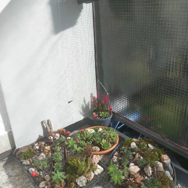 Apartman DEA - One-Bedroom Apartment - 32