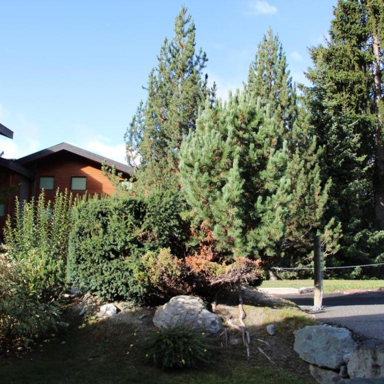 Four Seasons 1 - 1 bedroom apartment - Appartement 1 Chambre - 3