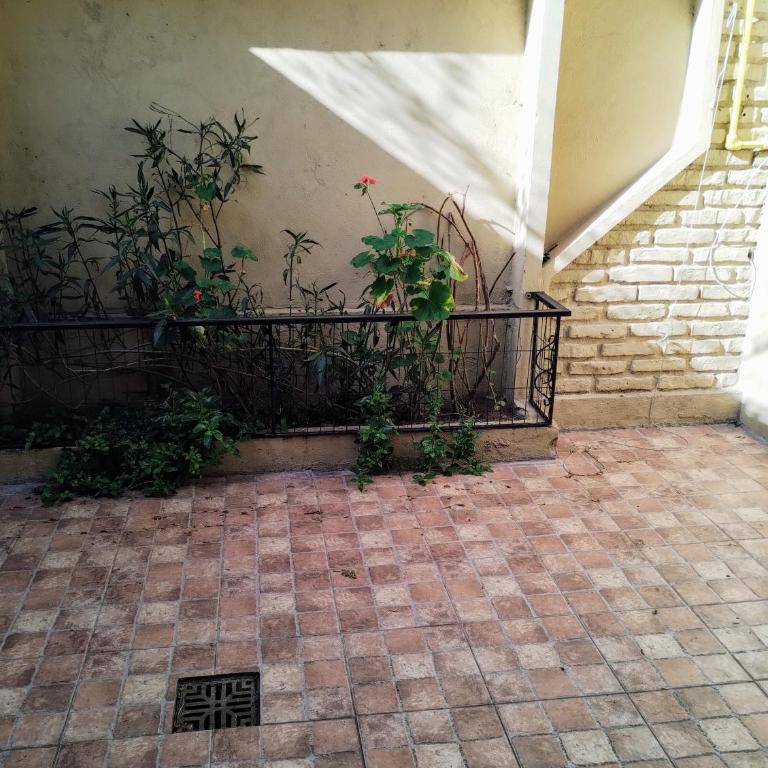 Maraja - Casa - 8