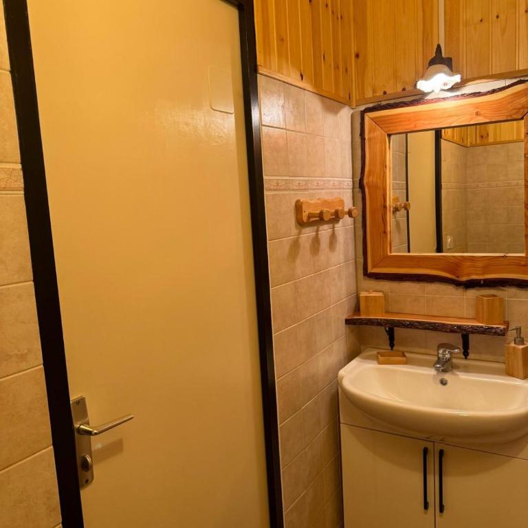 Cosy Apartment in the Mountain Charme - One-Bedroom Apartment - 55