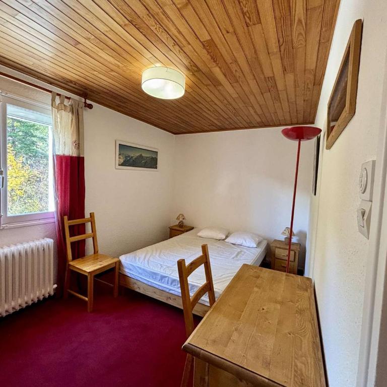 Spacieux appartement 8 pers, balcon sud, télésiège à 150m, animaux acceptés - Vieil Alpe - Appartement 3 Chambres - 4