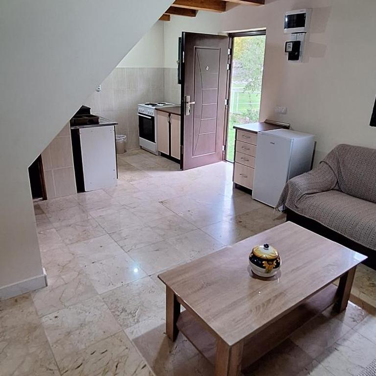 Katun Mokra accommodation & horseback riding - Superior Chalet - 7