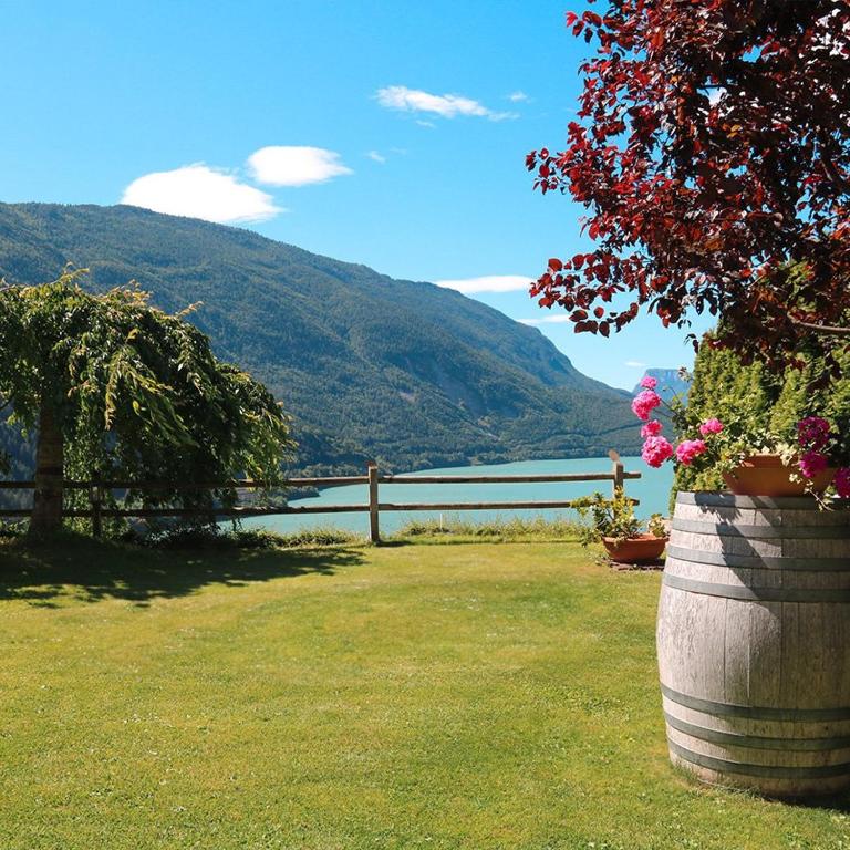 Villa la Dama del Lago - Appartement 2 Chambres avec Jardin - 3