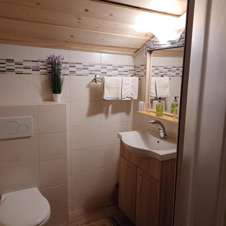 Pension Sonnhof - Habitación Cuádruple Estándar - 7
