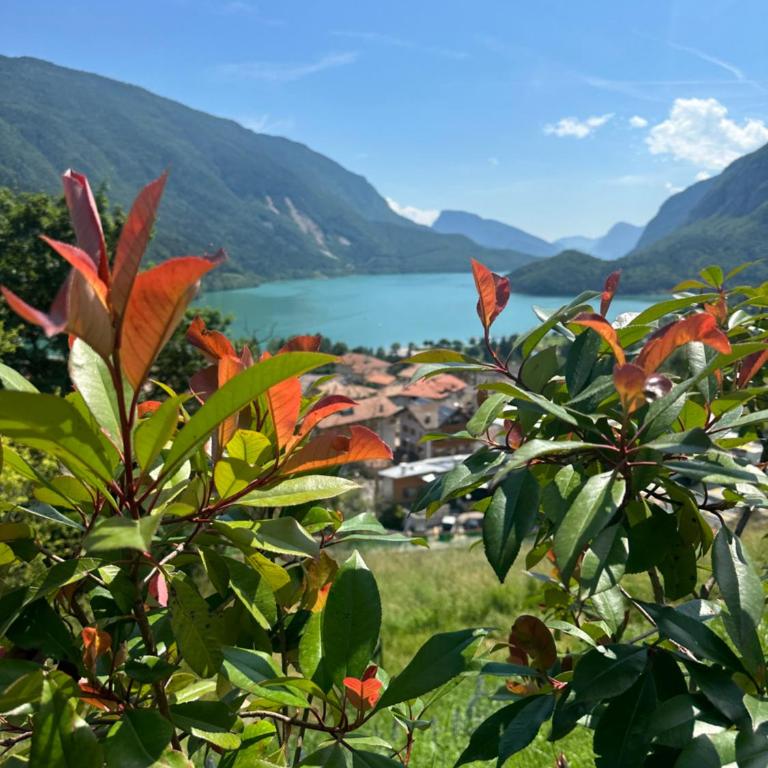 Villa la Dama del Lago - Appartement 2 Chambres avec Jardin - 17